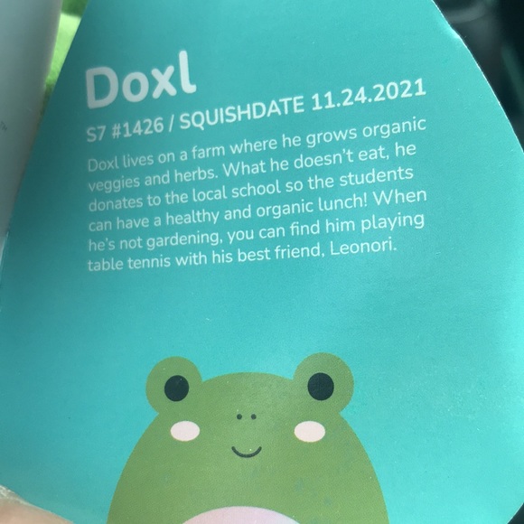 Doxl the rainbow frog squishmallow - Picture 5 of 5